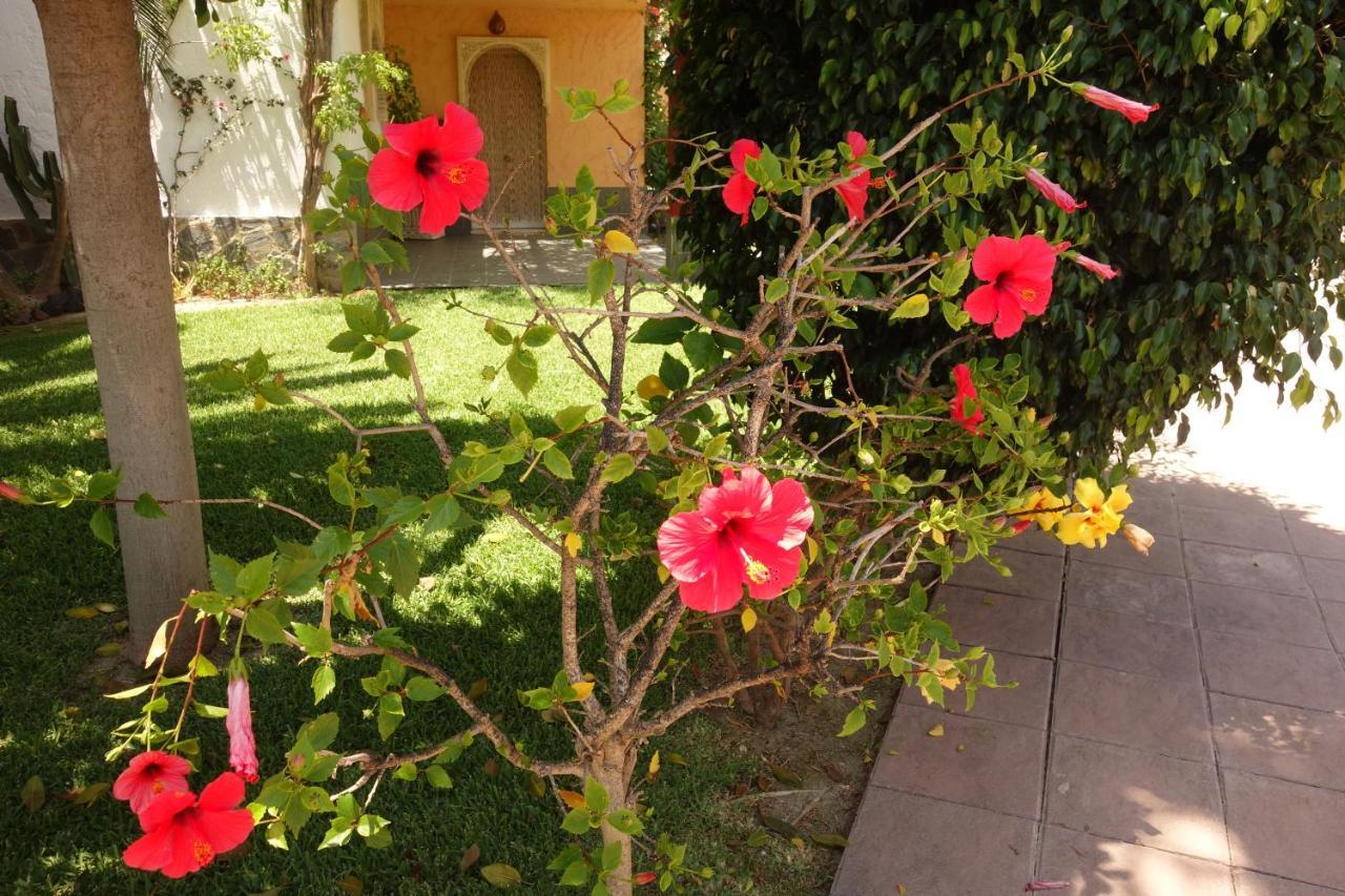 Vera Playa Spain - La Menara Naturist Complex - Eagles Nest - Penthouse Eksteriør billede
